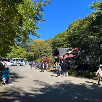 大体10時半ごろゴールに到着。すると、この時間頃に一番バスが到着。