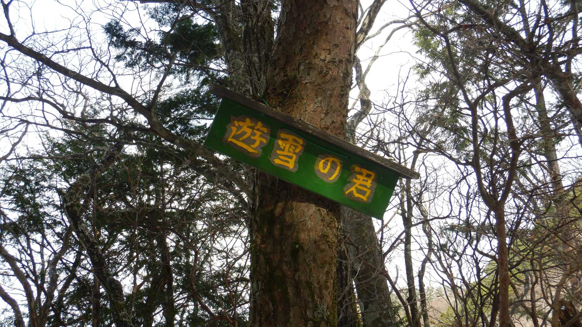何のことだか、分かりませんでした😅💦