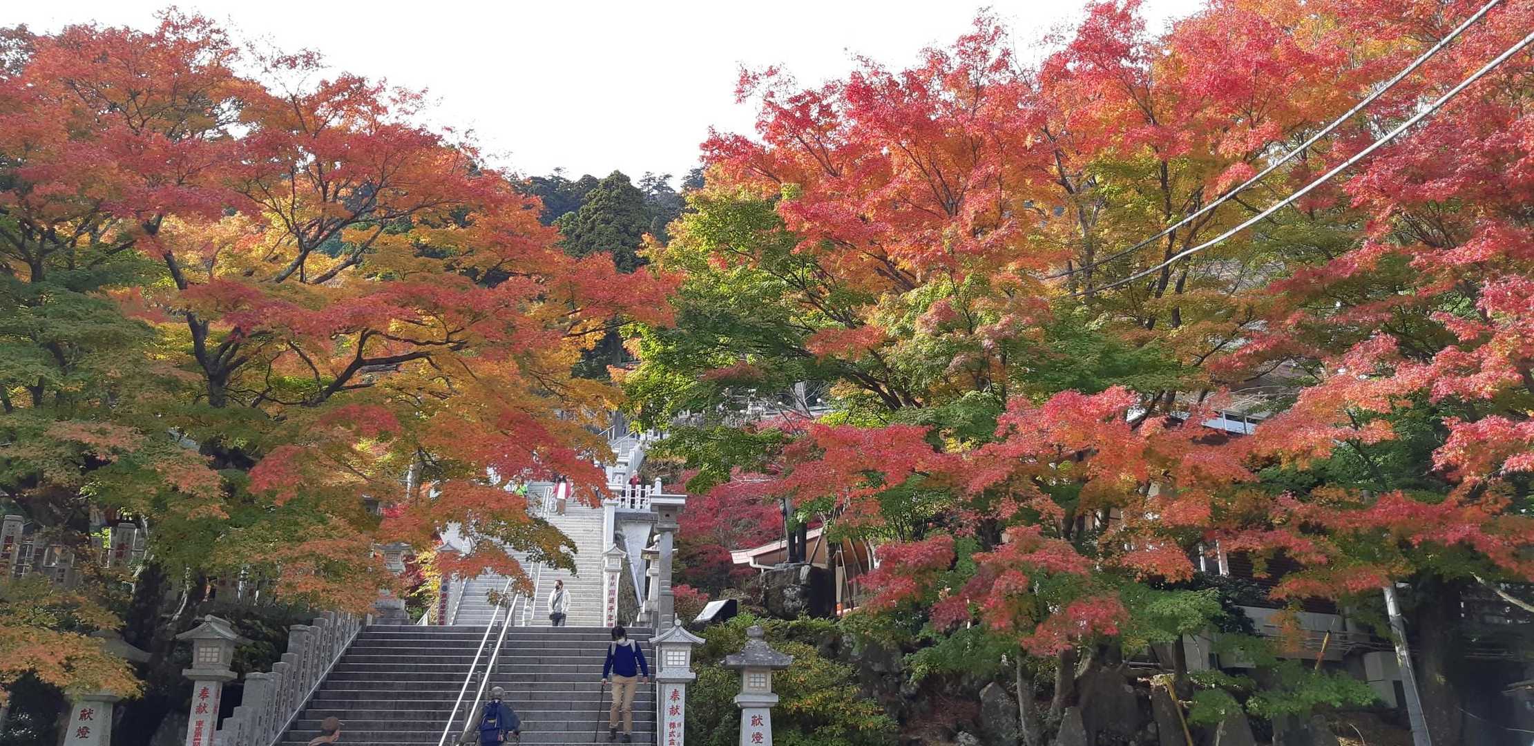 蓑毛バス停-大山-大山寺-大山ケーブルバス停 縦走コースの写真