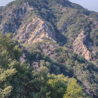 東山の山頂から馬の背が見えてきました😃🎵