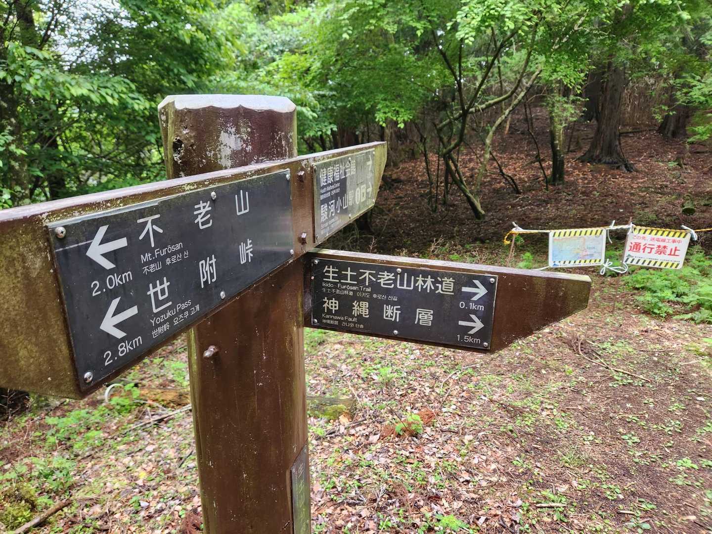 ここ標識だと「駿河小山駅→(直進)」になっていて、そっちは通行止めになっているの。私たちはもともと右に曲がるつもりだったからいいけど、標識だけ見てたらドキドキしちゃうだろうな💦
この後すぐ林道に出て、走るの終了〜ε-(´∀｀*)
地図見てた時は「林道が長いな」って不満に思ってたのに、ヤツに遭遇してからは山道が終わってくれて助かった〜林道ありがとうって、現金な私たち😜