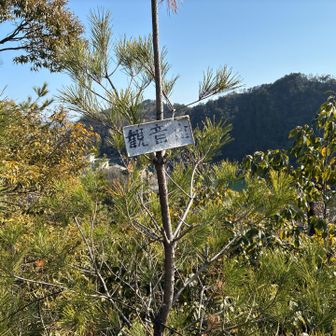 観音山山頂　向こうに見えるのは松尾山