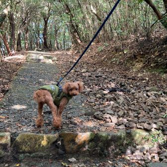 はやく行こっ🐶