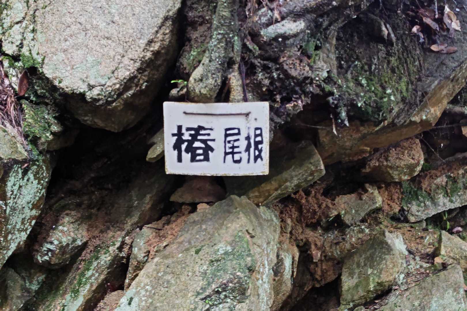 極楽寺山-極楽寺 往復コースの写真