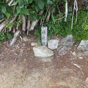 湯沢峰🔺(1,021m)
両かかとから「もう限界だ〜！」とクレームが殺到しています😆💦