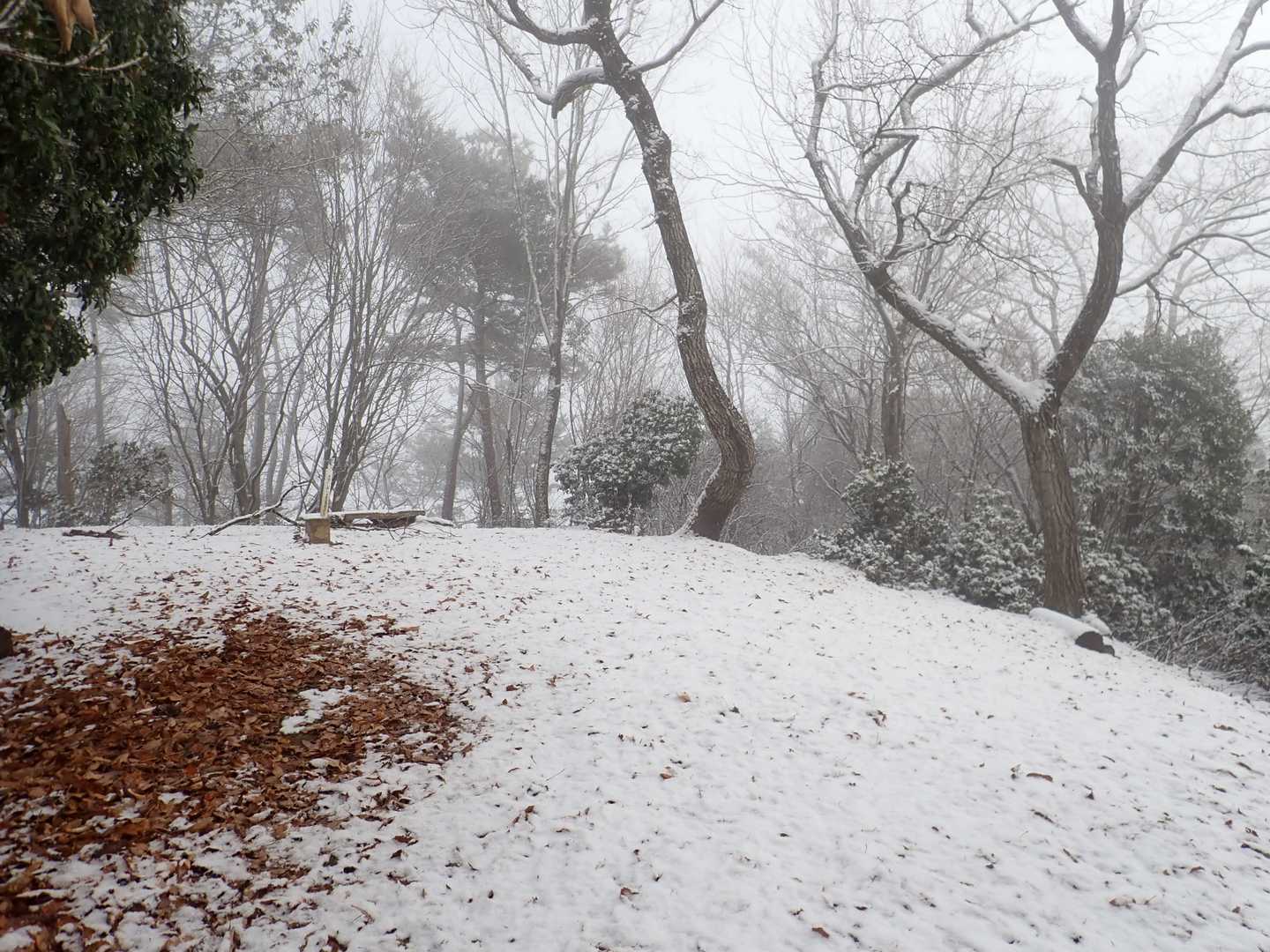 阿武山山頂…もう少し積もってるかと思ったのになぁ