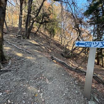 急登なんです😅