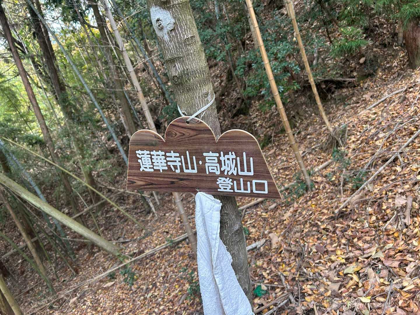 先ずは高城山へ向かいます♪