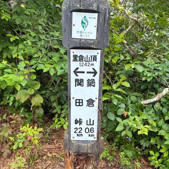 黒倉山頂、1242m
だけど…