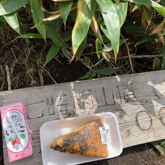 北峰で軽めのお昼ご飯😋
今日はよねちゃんの「がんずき」
テーブルに使ってごめん😌