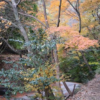 残ってくれててありがと⭐️