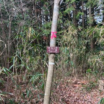 赤松ケ平山頂
眺望ありません