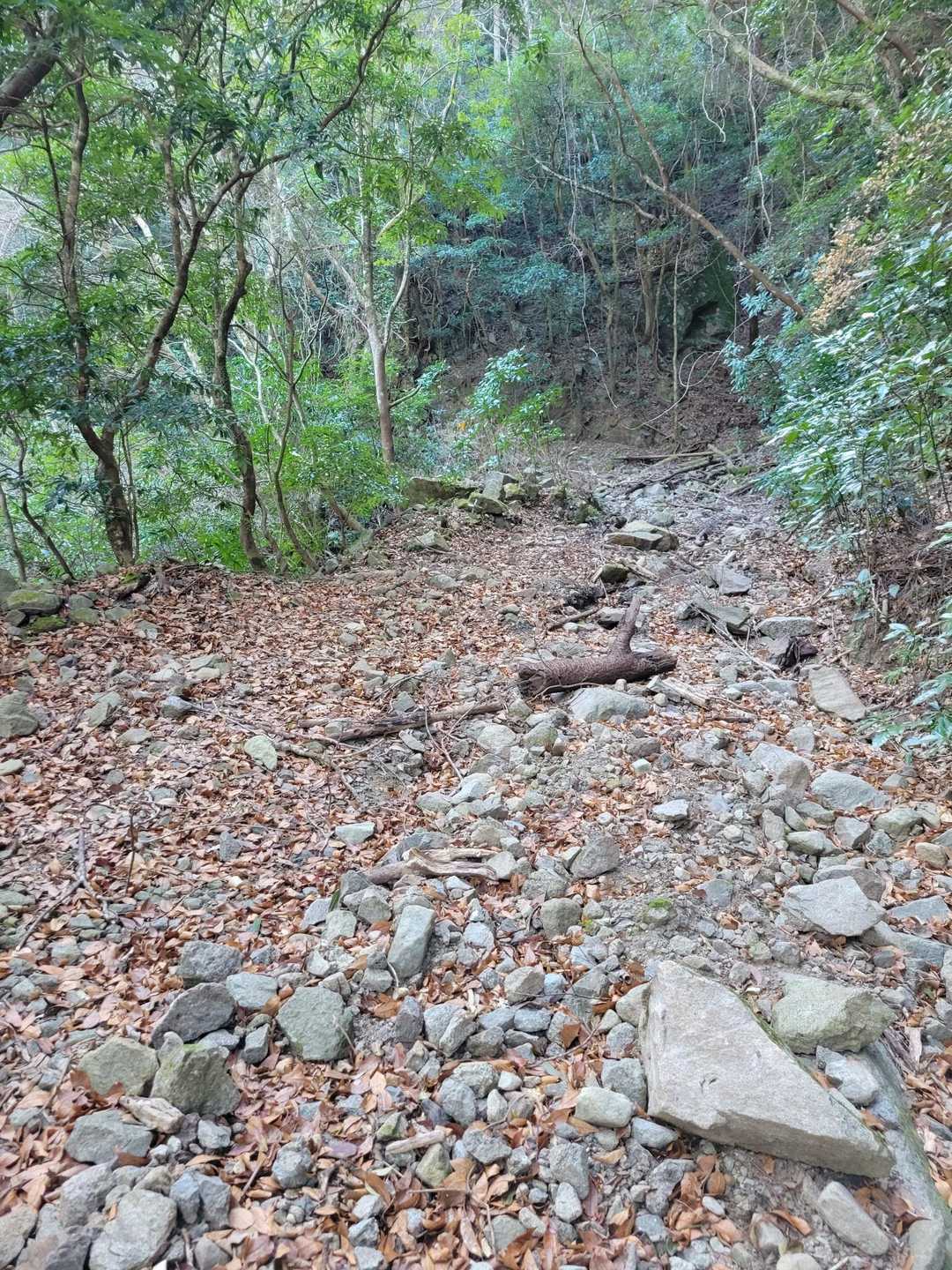 牛の峠登山口-牛の峠 往復コースの写真