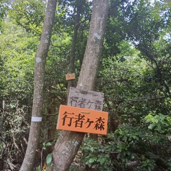 ２座目行者ヶ森
