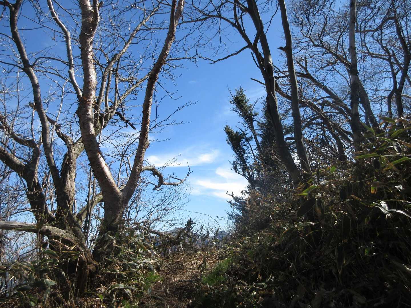 青空✨️