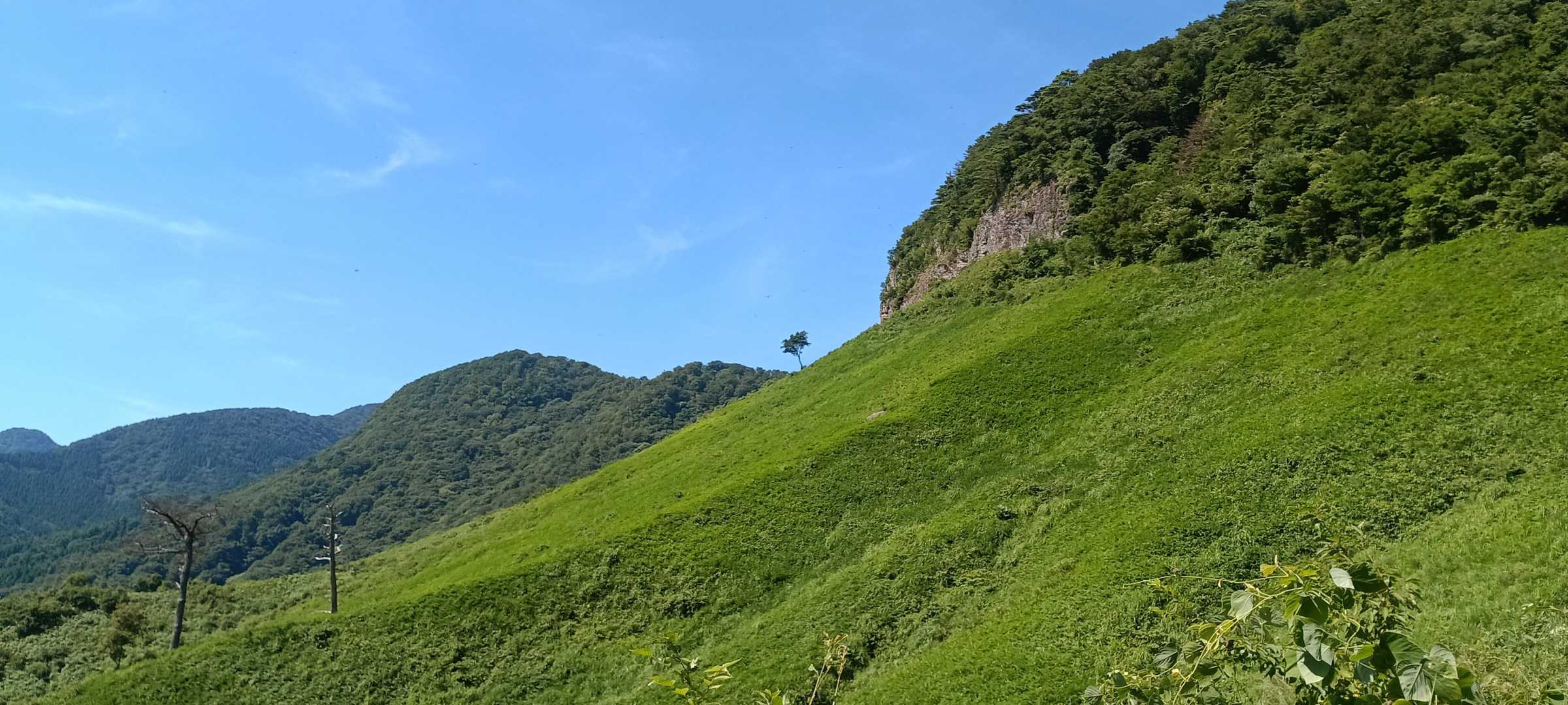 東坂登山口 往復コースの写真