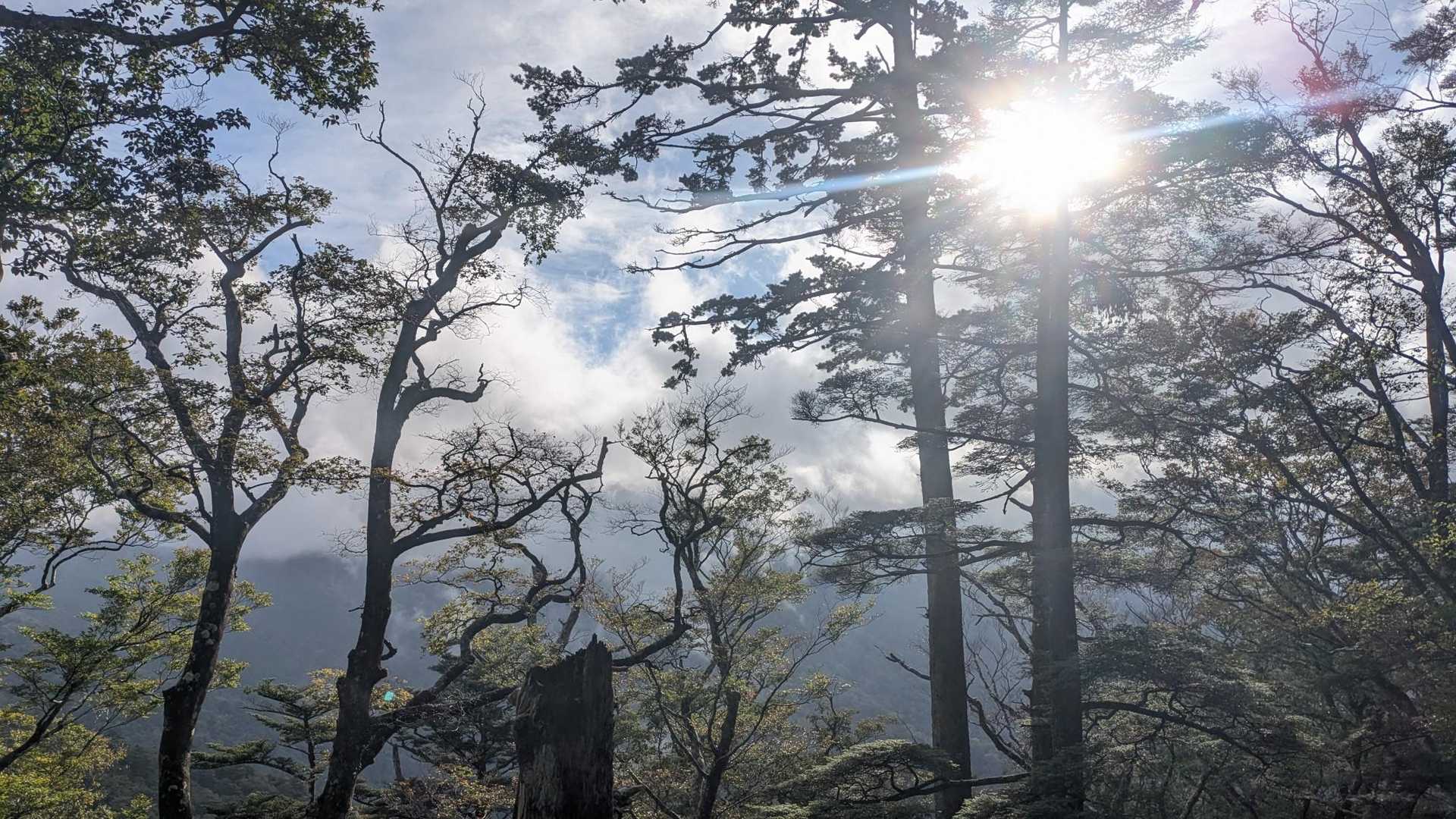 お天気になってくれー🙏😂