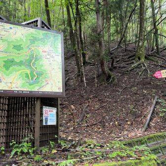 神社の駐車場から少し歩いたところが登山口