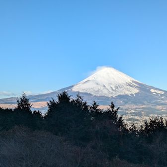 バスタ新宿から高速バスで乙女峠へ。
いつもの行程です。