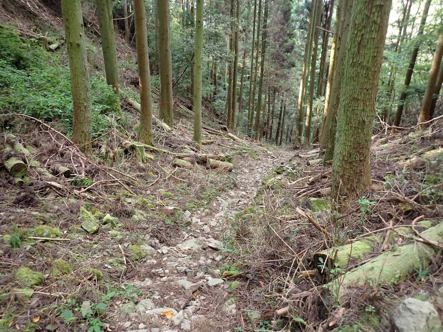 急坂下りが平坦に見えます。😅