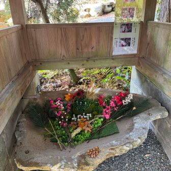 手水屋で
手を清めようと
近づくと