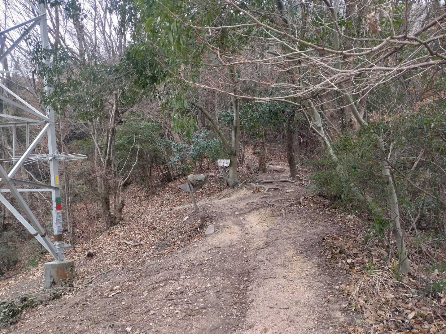 ここは左へ