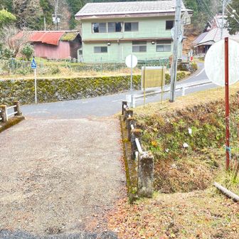 戻ってきました
