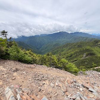 あの雲の中に富士山がいるはずなんですが💦