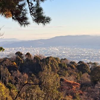 左奥に若草山🗻

いま鐘の音が聴こえた🔔
風情あるなぁ⤴