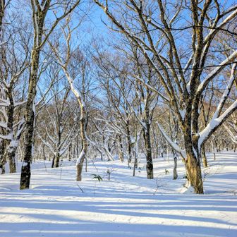 ラッセルスタート💦