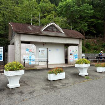 トイレ🚽