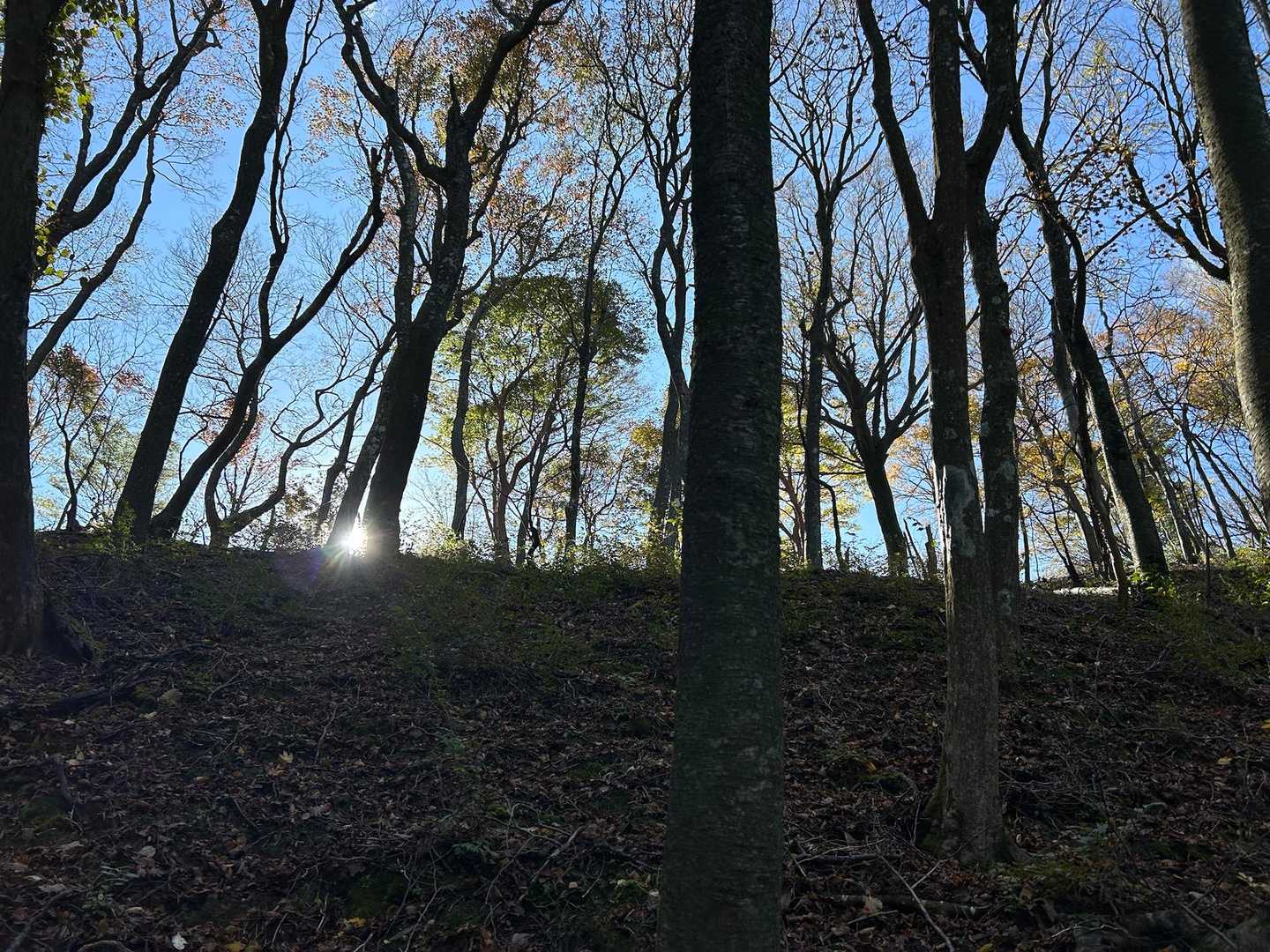 来るよぉ〜