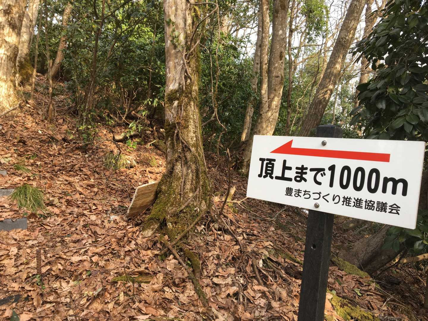 ところどころ倒木があるけど、
標識がきっちりついていて
安心の登山道