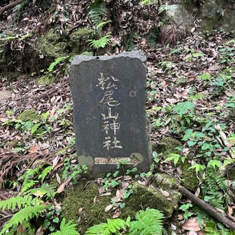 松尾山神社お参りのあと、平群駅まで歩く予定でしたが、
時間の都合で、
松尾寺口バス停まで歩いて、本日2回目のバス🚌