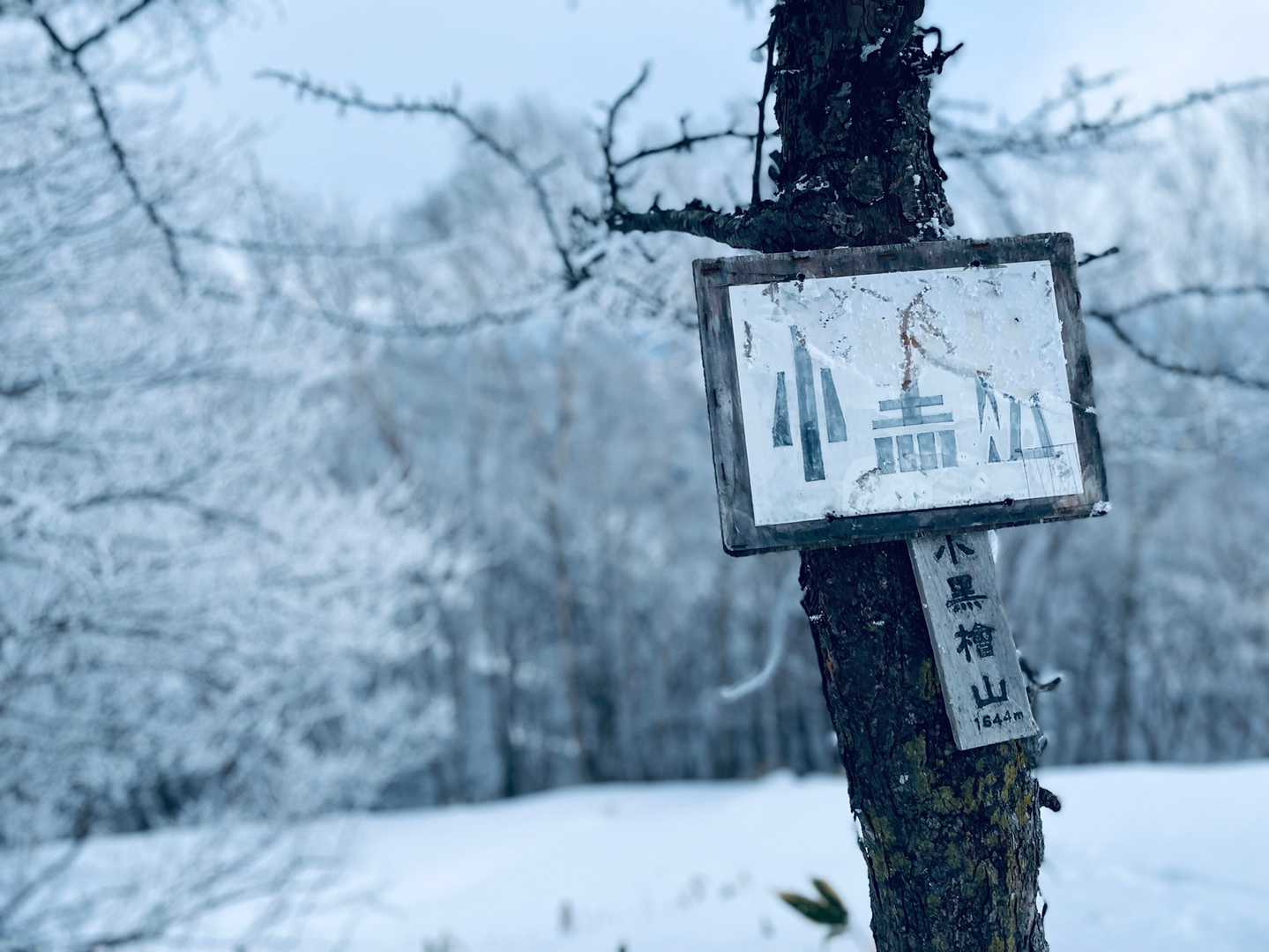 
到着ーーっ♡
冬の小黒檜山❗️
登頂できましたヾ(๑⃙⃘´ꇴ｀๑⃙⃘)ﾉ