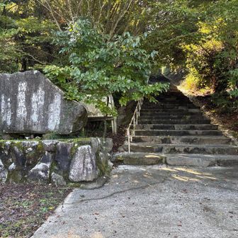 この左から登って行った