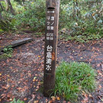 台倉清水到着