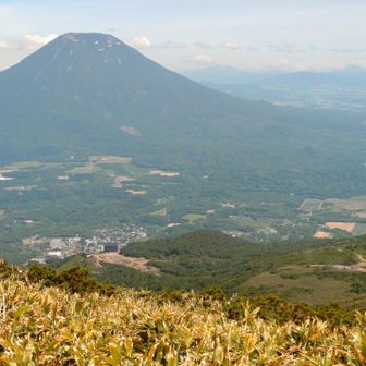 羊蹄山とニセコスキー場