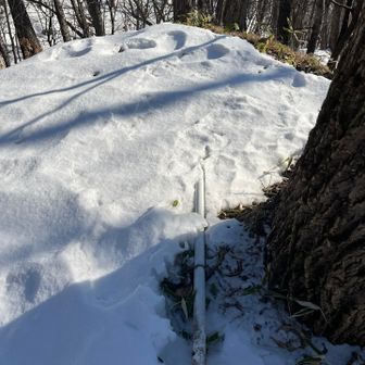 チャシ着
チャシの看板ないなと思ったら
倒れて埋もれてました💦