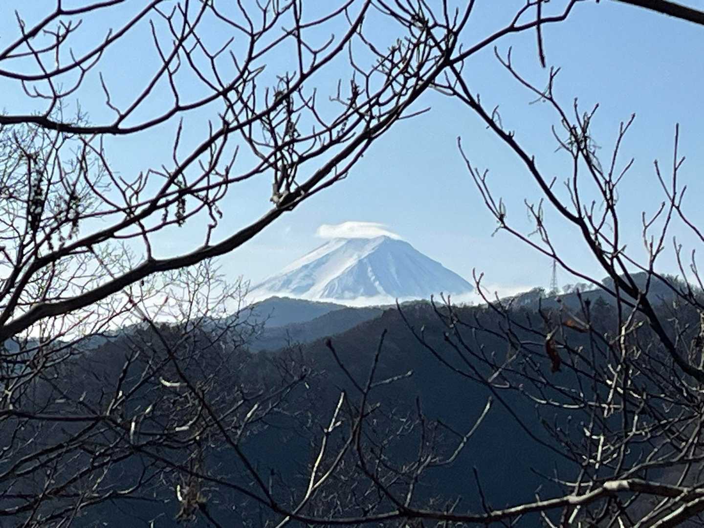 山頂では見えなかった富士山🗻ですが
下山時に現れてくれました♪😄