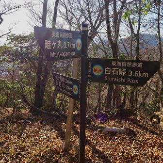 畦ヶ丸へ向かいます。また急登がありました😆