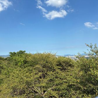 関門海峡方面はお山がチラ見え👀
とにかく暑い🥵