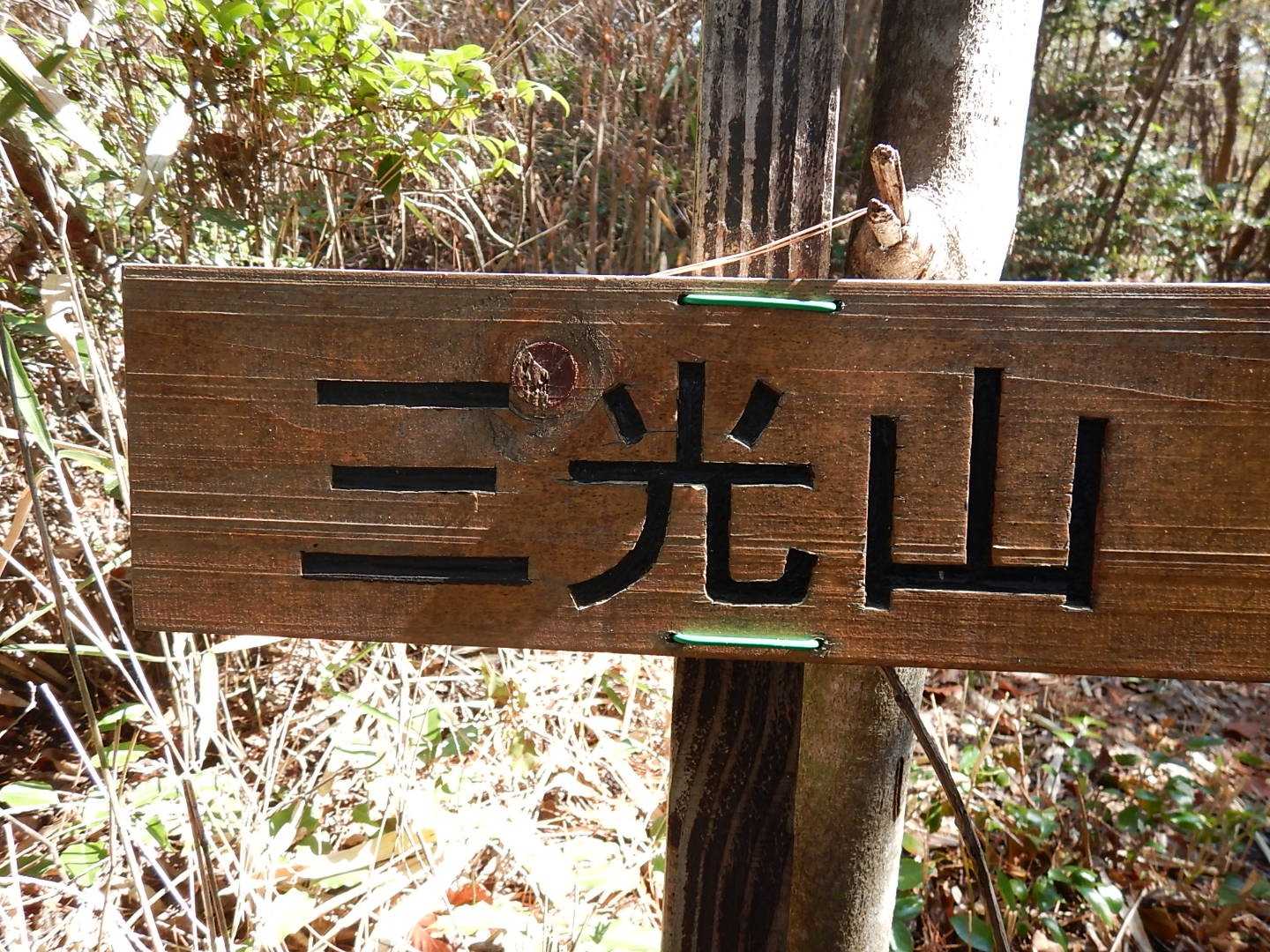 三光山ピーク😆