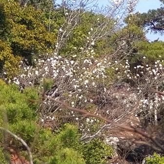 この少し手前にやまびこテラスがあったような…