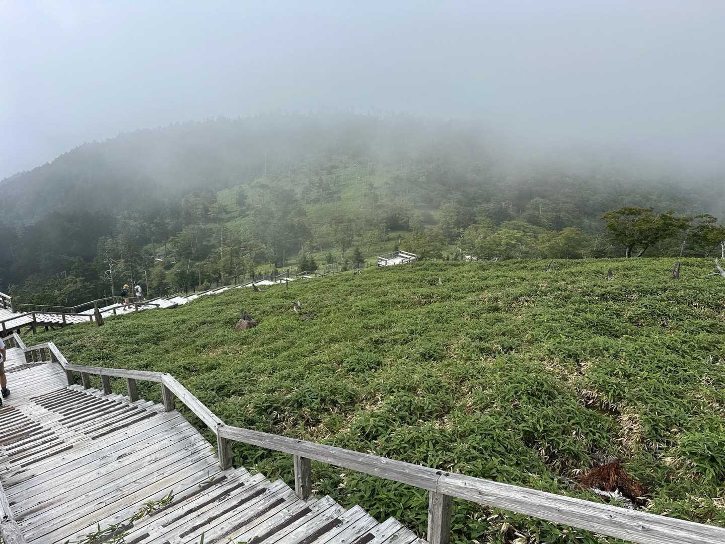 大台ヶ原バス停-大台ヶ原山-尾鷲辻 周回コースの写真