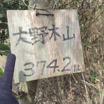 これよりテープあるところもあるがヤブ山。