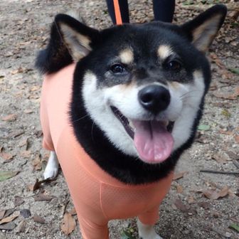なっちゃん、目線ありがとう！可愛すぎる😍