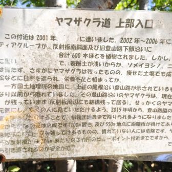 肝心な所が消えている。
てか、とても下りようとは思もわない。