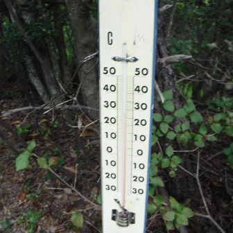 29℃程あった