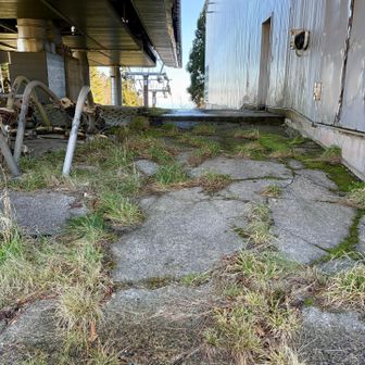 山頂がわかりにくいと噂、やはり探してもわからない。
大きな岩🪨の上と書いている人もいるが、地図上には無し？
このリフトの最高地が、地図上山頂？
宝探し状態も疲れた😓